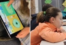 Bitbot Challenge 2020: un repte tecnològic amb més noies