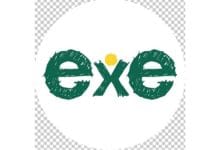 Projecte per l’orientació acadèmica-professional