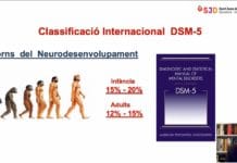 1 de cada 5 alumnos presenta algún trastorno del neurodesarrollo