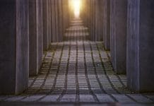 LOMLOE, currículo e Historia