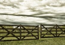 La privatopía educativa