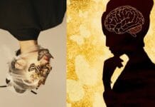 Las Humanidades frente a la cursilería educativa