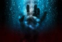 Virginia Tech (Notas sobre la violencia)