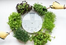 Jornada continua: Cui prodest?